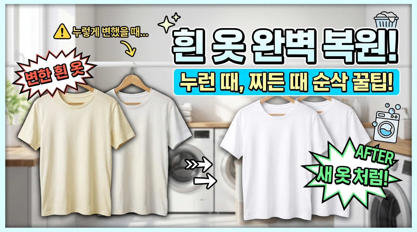 제목